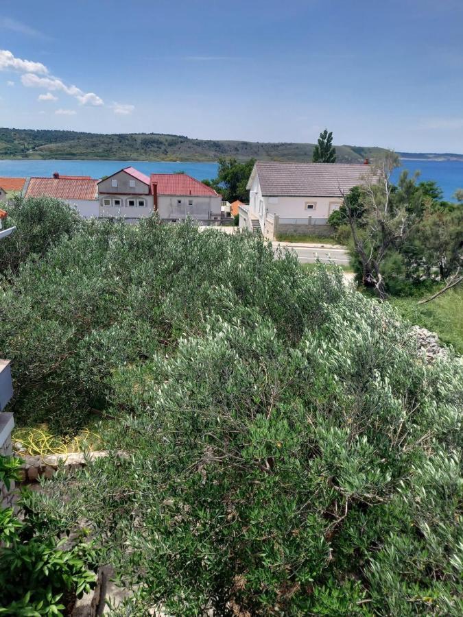 Apartmani Branka Rtina Eksteriør billede